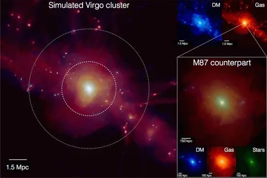 Studying gas physics in the simulated Virgo cluster